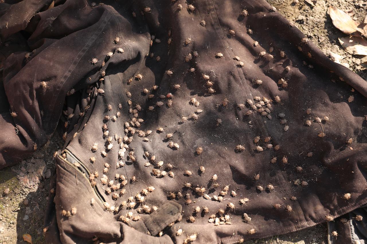 WhatsApp Image 2025-11-03 at 15.54.18 (2).jpeg