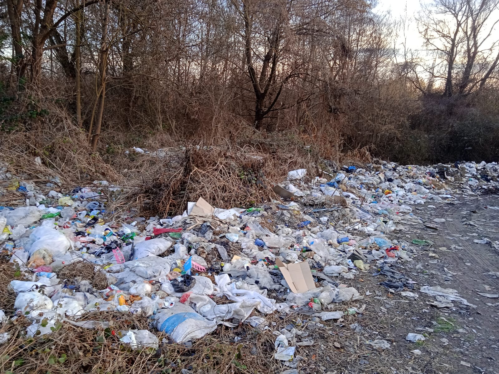 636516898_864176429782855_2010136174852611701_n (1).jpg