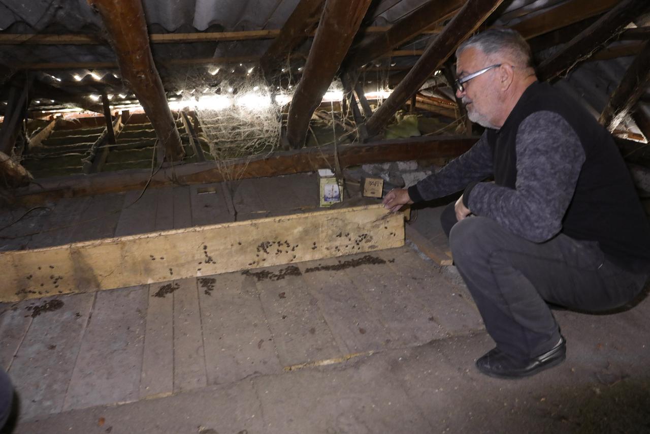 WhatsApp Image 2025-11-03 at 15.54.18 (3).jpeg