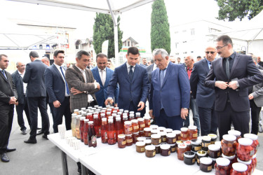 Zaqatalada “KOB Fest” sərgi-satış yarmarkası açılıb