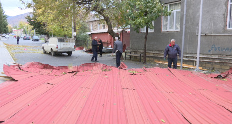 Zaqatalada güclü küləyin törətdiyi fəsadlar aradan qaldırılır