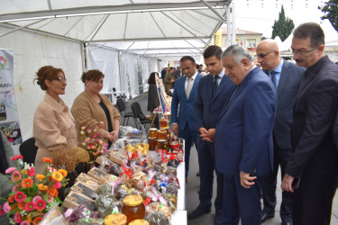 Zaqatalada “KOB Fest” sərgi-satış yarmarkası açılıb