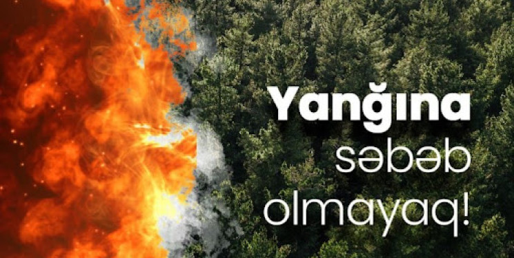 Meşələrin yanğın təhlükəsizliyi