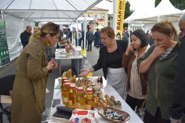 Zaqatalada “KOB Fest” sərgi-satış yarmarkası açılıb